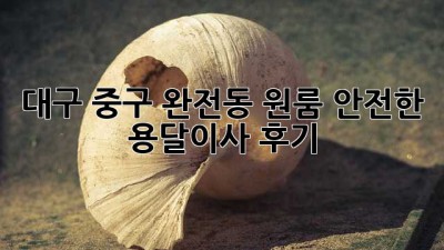 대구 중구 완전동 원룸? 안전한 용달이사 후기!